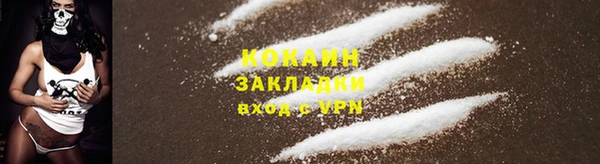 индика Белоозёрский