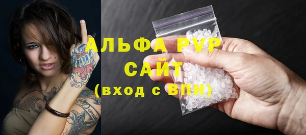 индика Белоозёрский