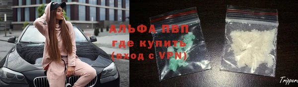 индика Белоозёрский