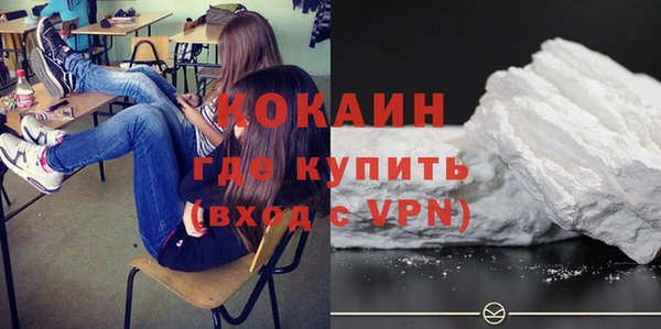 индика Белоозёрский