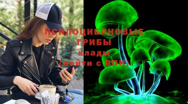 тгк Беломорск