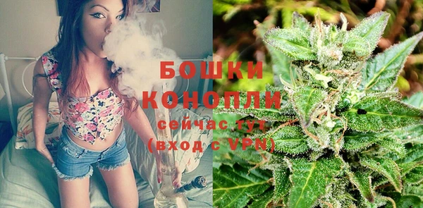 винт Белокуриха