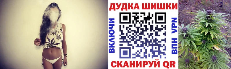 Каннабис конопля  даркнет какой сайт  Александровское  продажа наркотиков 